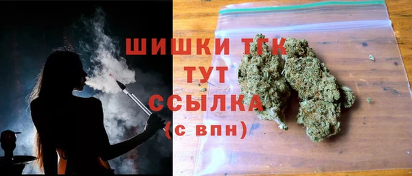 прущие грибы Приозерск