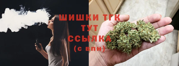 прущие грибы Приозерск