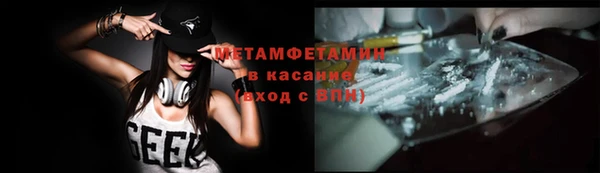 прущие грибы Приозерск