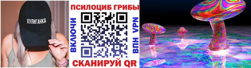 наркота  Агидель  Псилоцибиновые грибы ЛСД 