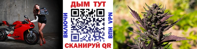 МАРИХУАНА ГИДРОПОН Агидель